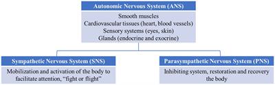 Physiological reactivity at rest and in response to social or emotional stimuli after a traumatic brain injury: A systematic review